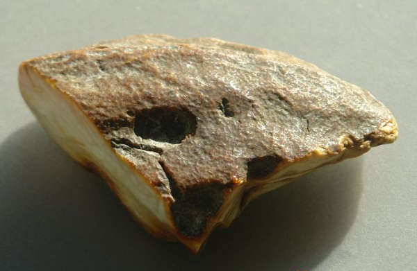 琥珀蜜蜡的形成过程图解,琥珀蜜蜡的形成过程让人感叹