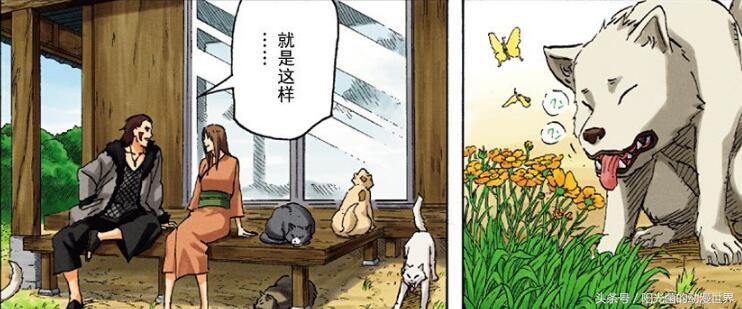 火影忍者结局鸣人和雏田,火影忍者真正漫画结局