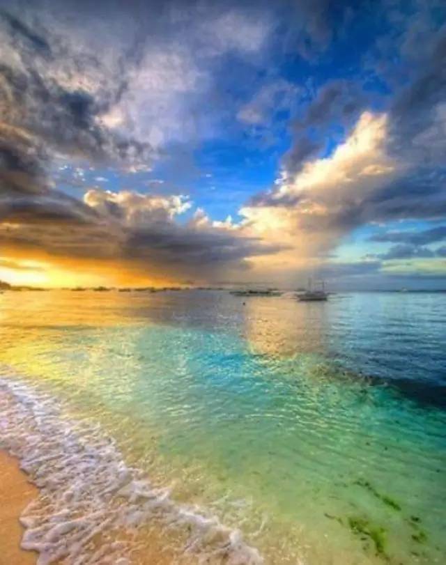 除了鲸鲨，这里还有复活节和GinginLuna的故事