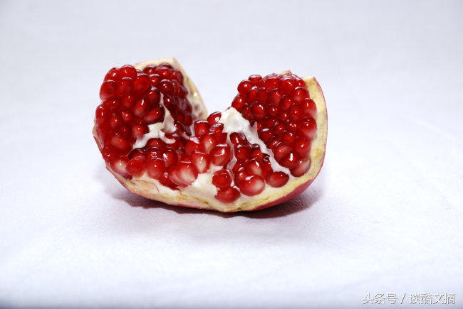 可食用的种子和不可食用的种子,种子可以直接食用的有哪些