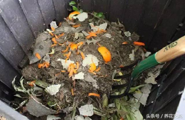 种花土怎么堆肥,养花旧土怎么不花钱处理成营养土