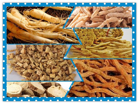 带参的药品名称,带参的中草药类图片