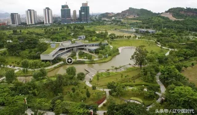 我叫辽宁，绝对不是我吹牛，今年我将让全国刮目相看！