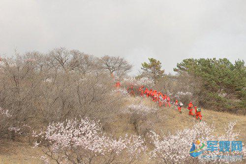 战前沿精兵护生态育忠魂情洒大青沟
