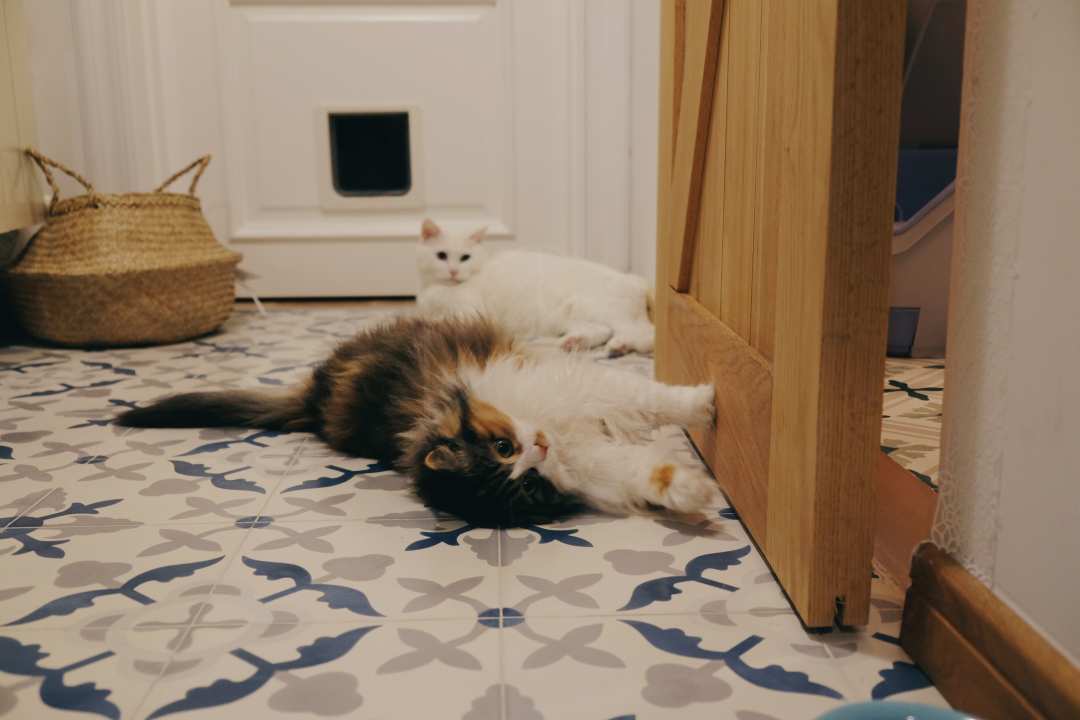 宜家的厨房橱柜质量怎么样,宜家厨房怎么样