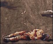 吃饭碰到前女友的笑话,上街遇见前男友的幽默笑话