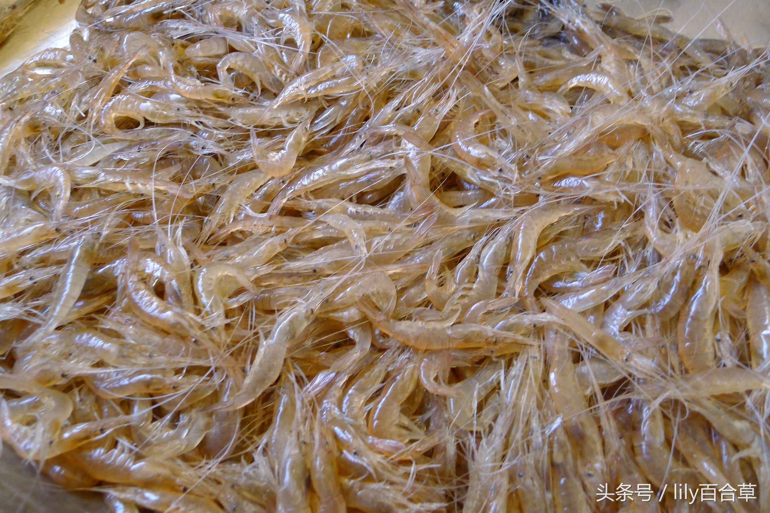 吃海鲜适合带什么,回家路上可以带海鲜吗