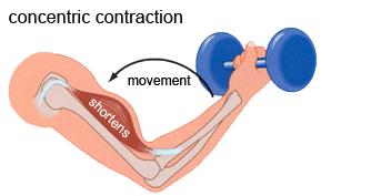 治疗颈椎病，每天只要3分钟