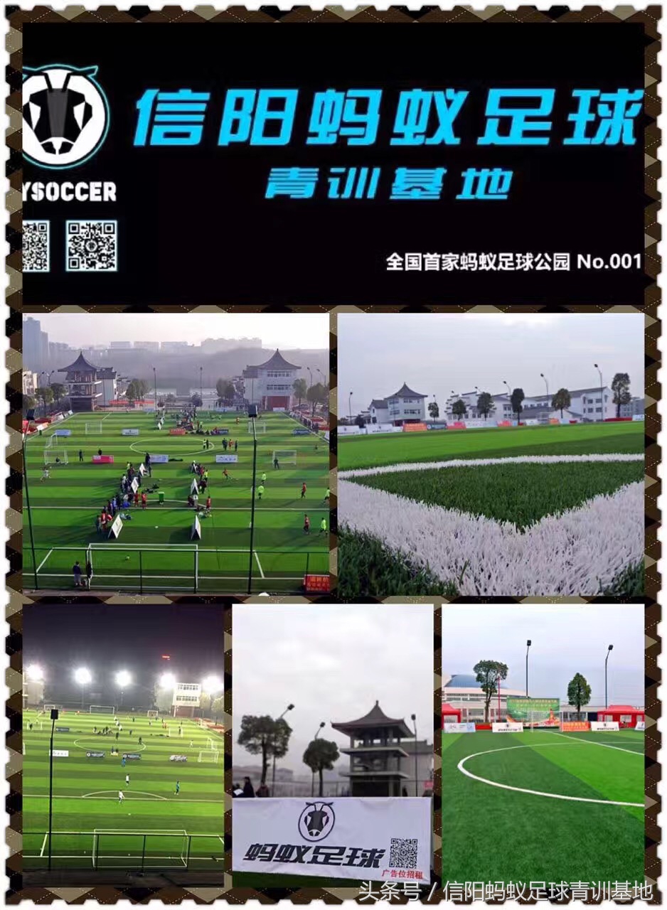 暑期足球培训营青训,信阳蚂蚁足球俱乐部青少年训练营