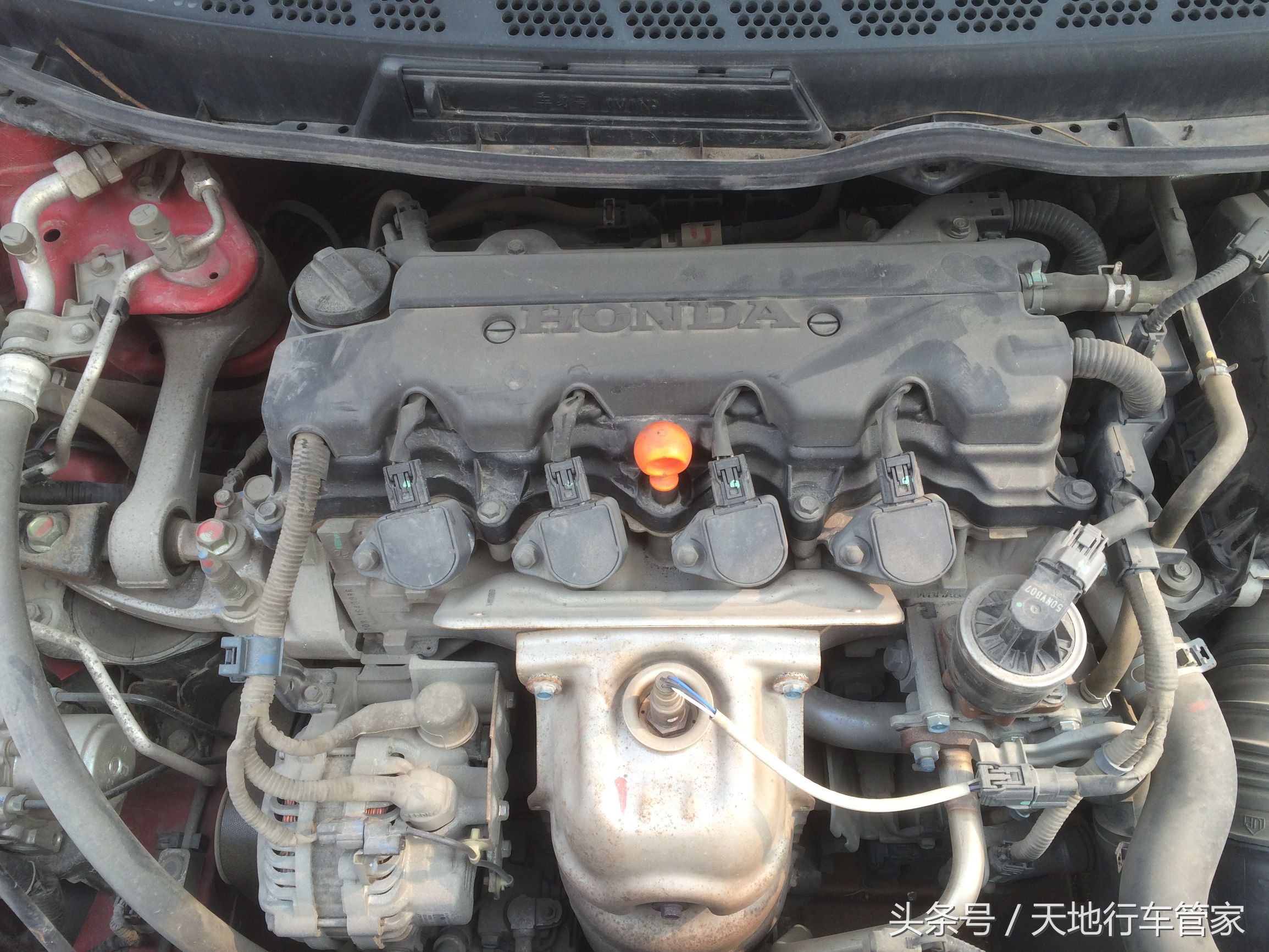 08思域墨绿,08款思域照片红色