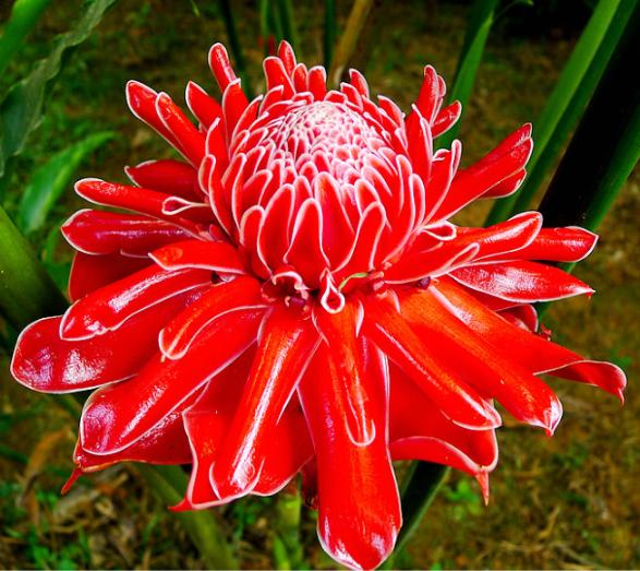 西双版纳每个景区都很美,西双版纳什么时候最美