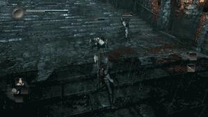 ps4仁王忍者流,PS4仁王选哪个