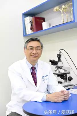 顽皮家族宠物医院怎么样,顽皮家族宠物医院属于什么组织