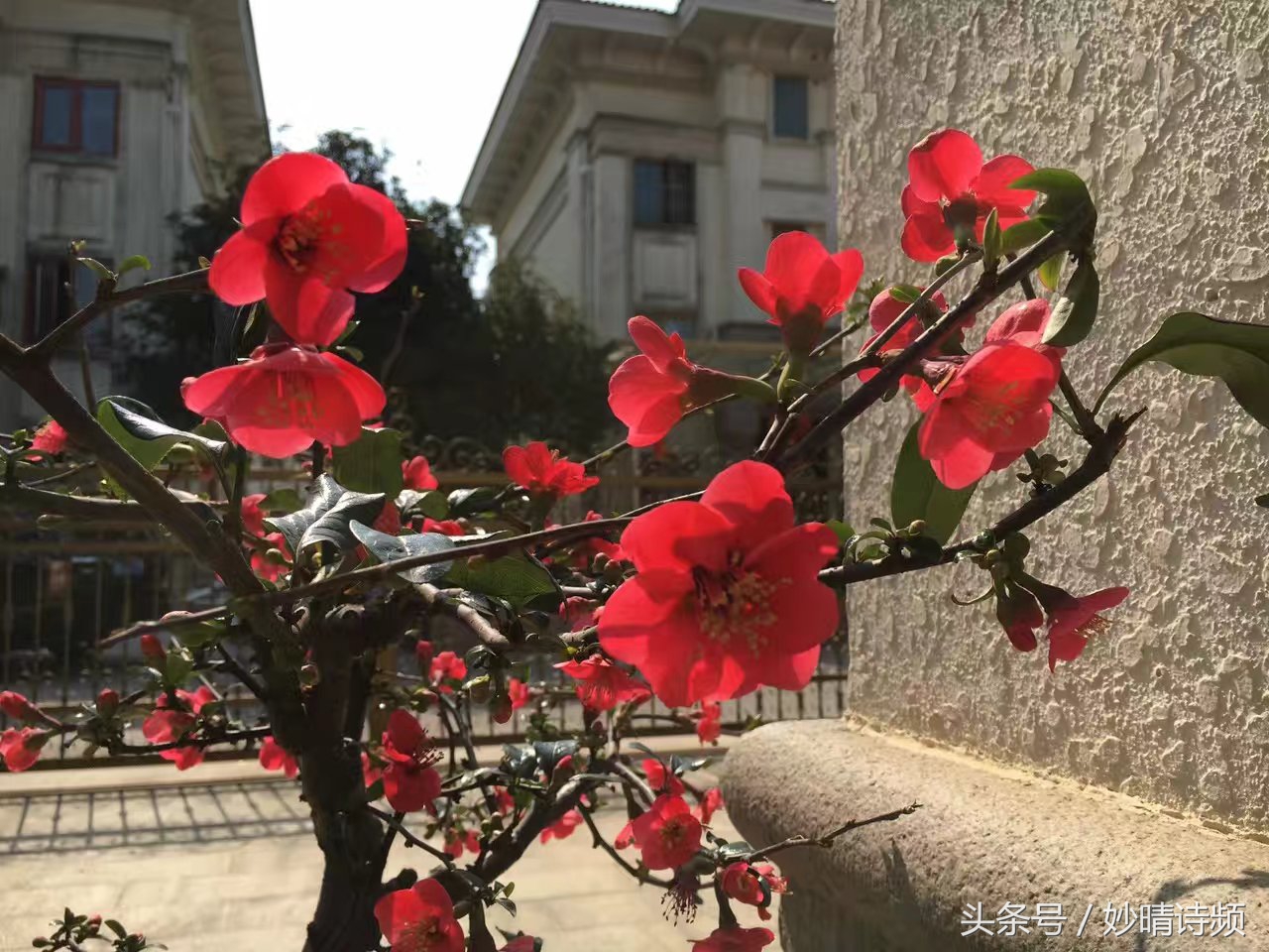 黄曙辉：情人节致瓦伦丁（六首）