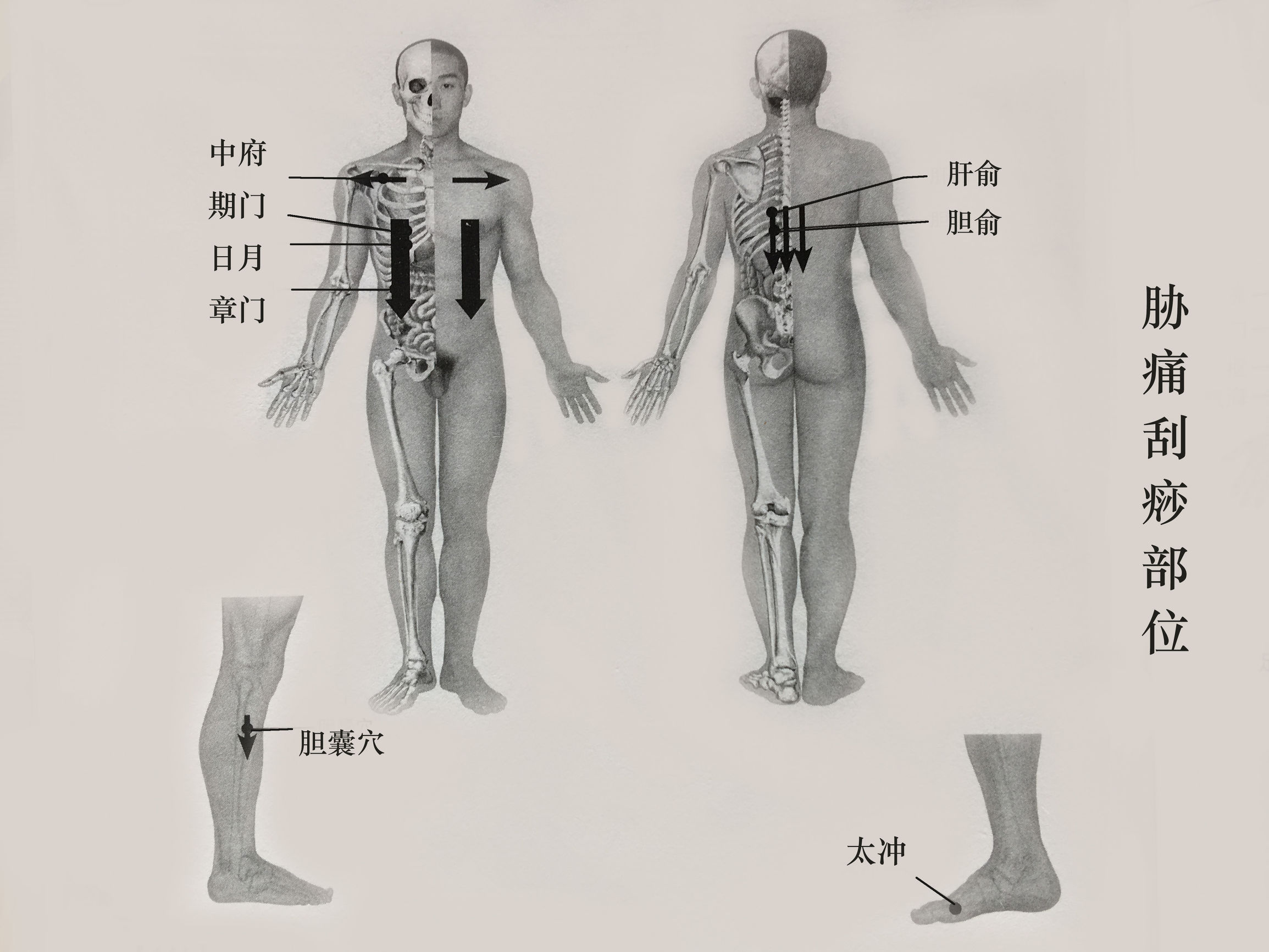 胁痛吃什么药可以治疗,胁痛一招解决