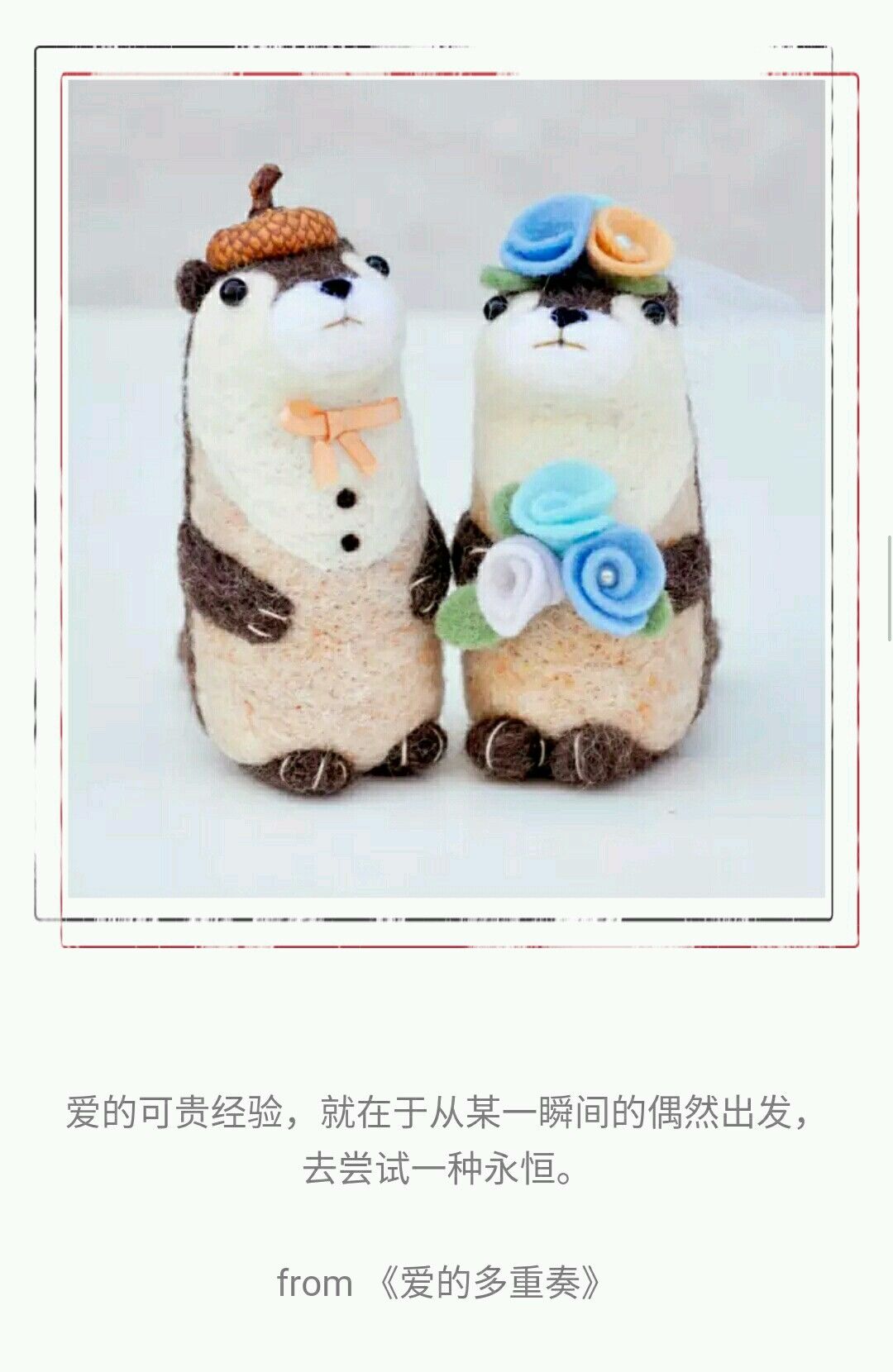 谁能用一句话说爱情,用一句话来诉说爱情