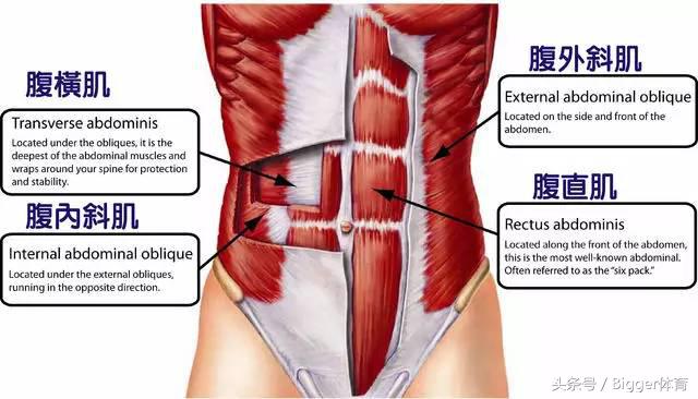 骨盆倾斜长短腿跑步有什么危害,骨盆倾斜对健身的影响
