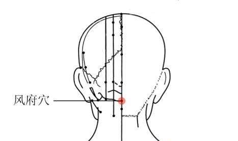 散偏汤煎药方法,散偏汤的功效和作用