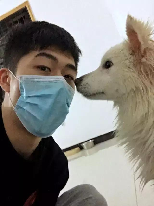 长沙人爱养什么品种的鸟,长沙人为什么喜欢养乌龟