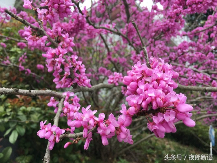 黔东南州剑河县苗族,美丽的黔东南剑河县