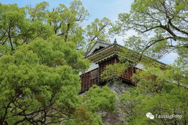 日本大阪旅游地震,日本旅游福岛地震