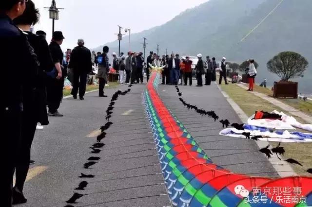 南京踏青赏梅乐享春光,赏梅园