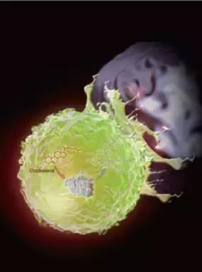 2021年国家重大科技成果,2020中国重大科技成果图片