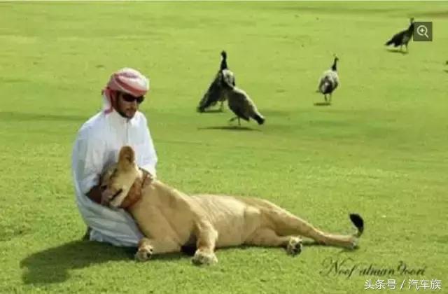 功夫瑜伽的迪拜王子出场片段,功夫瑜伽迪拜王子客串