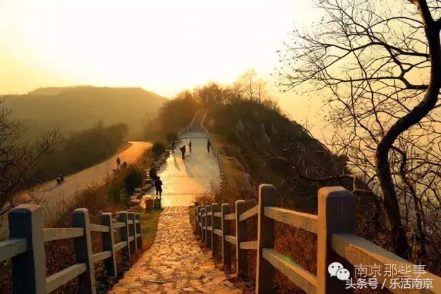 南京踏青赏梅乐享春光,赏梅园