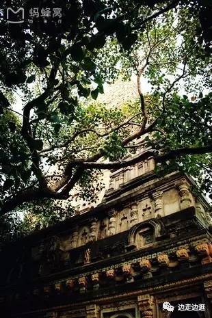 印度看病大师,印度医生看病视频