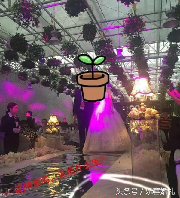 只有一个月的时间筹备婚礼,怎样筹备一场完美的婚礼