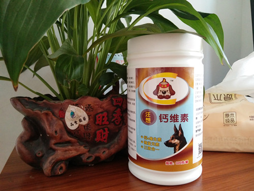 柯基狗后腿总是发抖什么原因,柯基犬腿发抖怎么回事