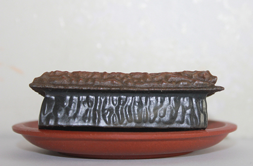 奇石有多少,全国所有奇石宴