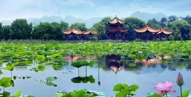 贵州省各县区经济排名,贵州地区总值多少