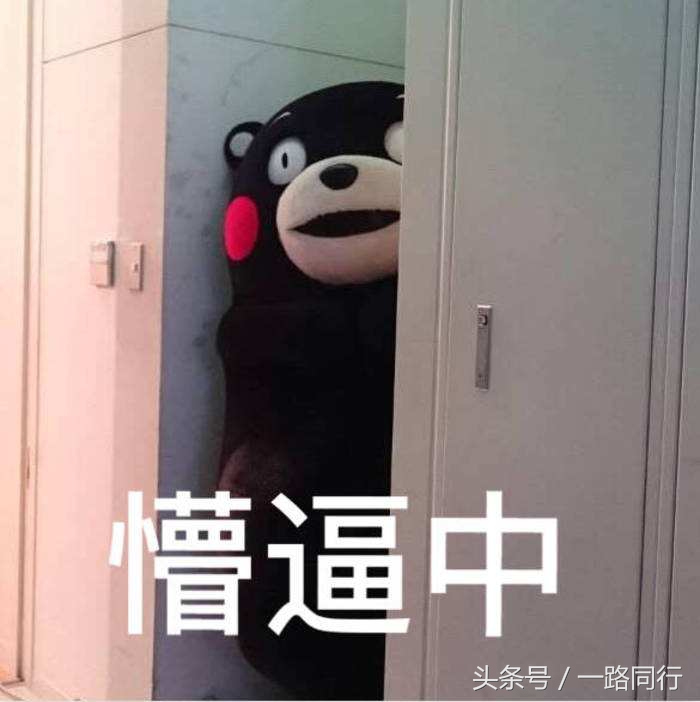 旅游如何做到互相尊重,旅游被区别对待