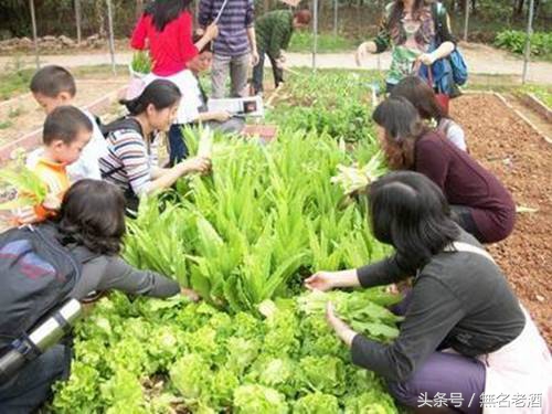 2020小县城低成本暴利生意有哪些,回自己县城做什么冷门生意赚钱