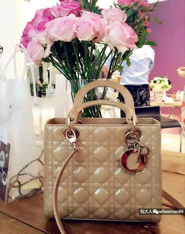 dior和lv包包选哪个,dior与prada的区别