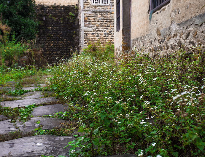 拍不出好看的照片用的特效,怎么用特效拍出氛围感照片自拍