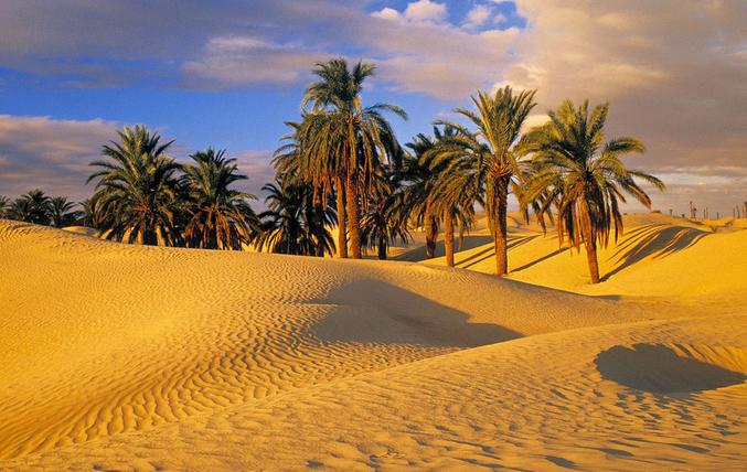 以色列的黄瓜好吃吗 (天天吃以色列黄瓜)