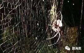 6个有趣奇闻异事保证你没听过,世界奇闻异事大全集