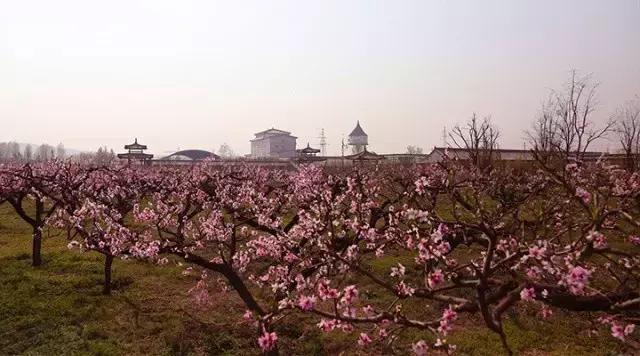 西安市内半日的小众绝佳去处,西安往东好玩儿的景点