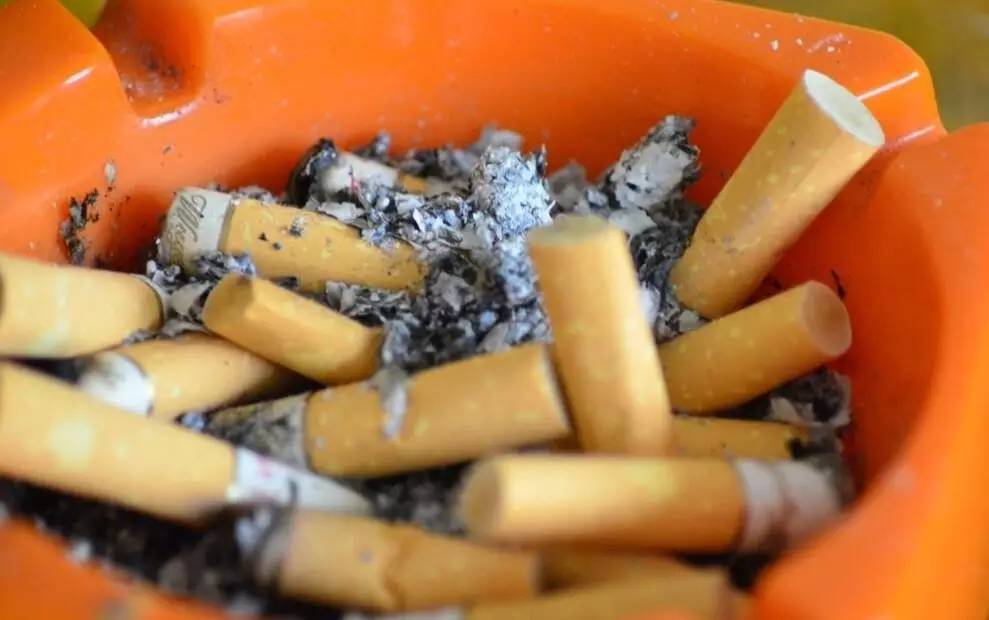 植物出现病害农药加量吗,植物遇到病变怎么办