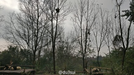 抱大腿暴富后续,抱大腿走上人生巅峰