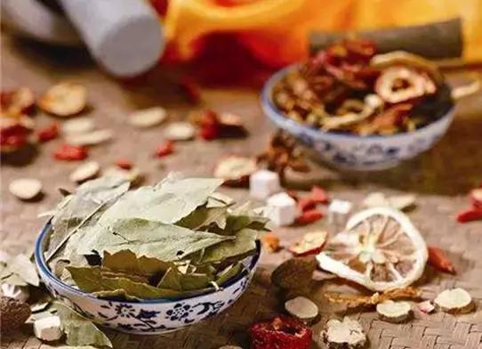 刘虎岐:想要种中草药赚钱,你先得了解它们!