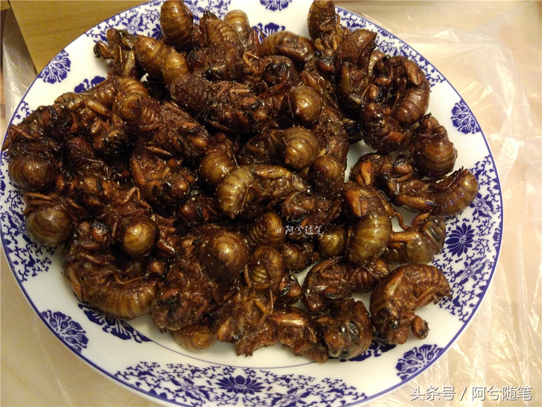 9大农业害虫，都成了农民餐桌上美味！