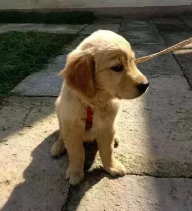 为让人们免费使用压缩软件与大公司杠上，最后被人抄袭郁郁而终！