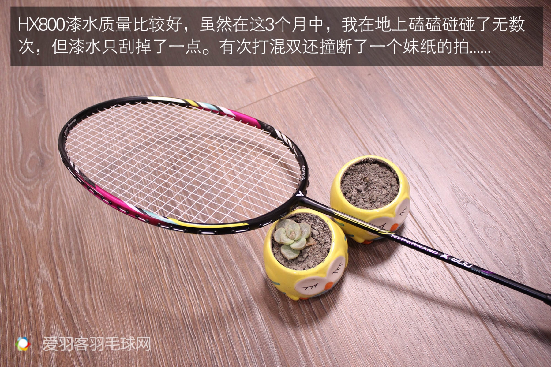 hx800羽毛球拍多少钱,羽毛球拍测评200元