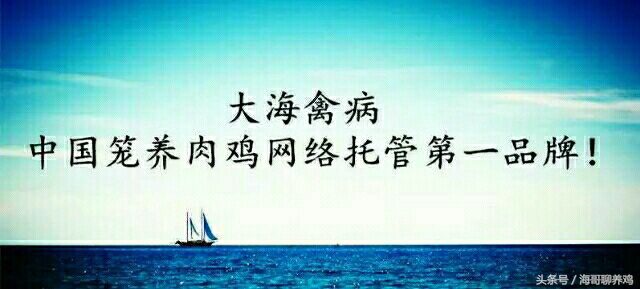 霉菌毒素对牛羊有什么危害,霉菌毒素超标对母猪有什么危害