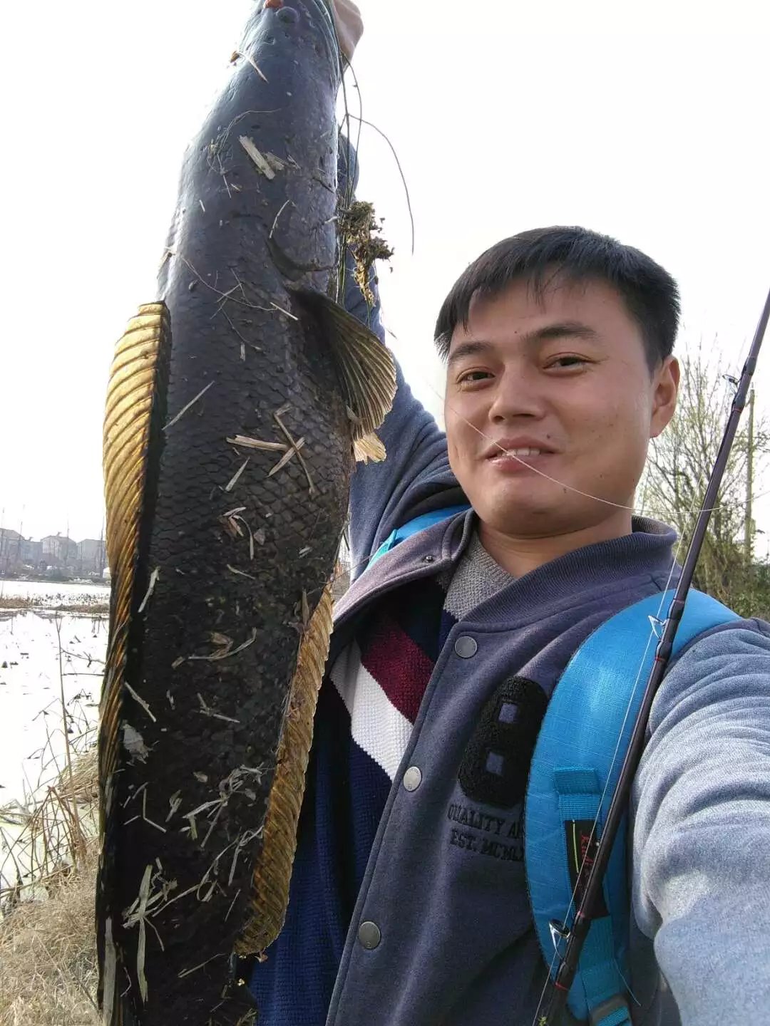 机械师横扫枯叶塘，放牛哥借机洗前耻路亚这条黑鱼真过瘾