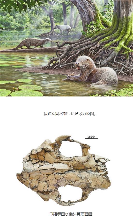 早啊新闻来啦在哪听,早啊新闻来了哪里能听